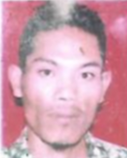 HARDI SAPOAN